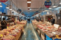 사천 가볼만한곳 베스트10 4. 삼천포 용궁수산시장2
