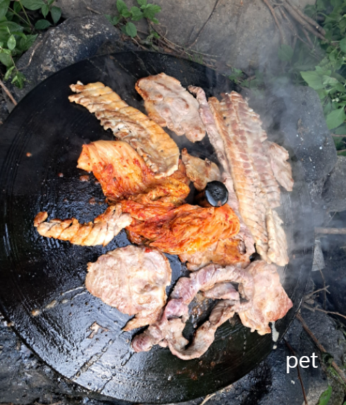 경기-연천-아미골캠핑장-예약-방법-애견-동반-가격-주소-시간-후기