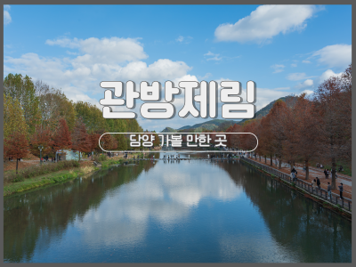 담양 관방제림