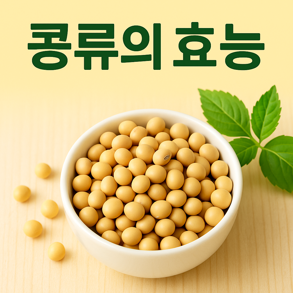 콩류의 효능