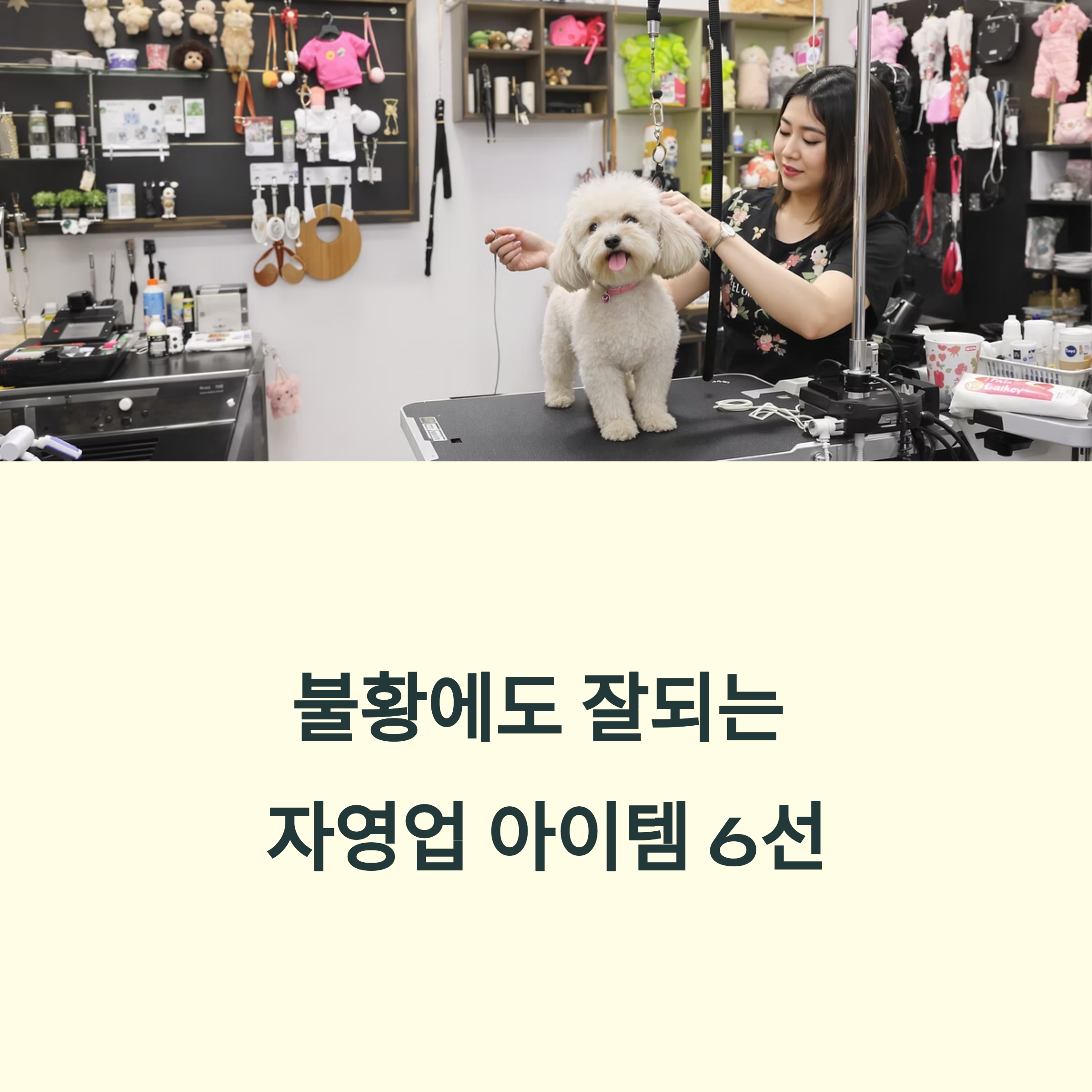 대표사진