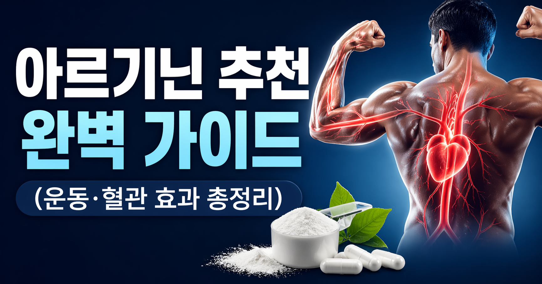 아르기닌 추천