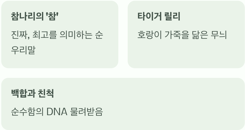 진짜배기 나리꽃, 그 이름의 의미