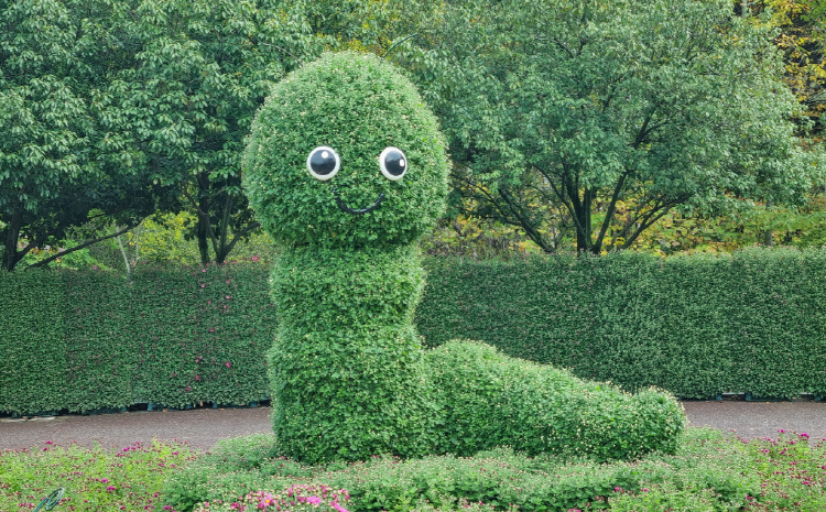 대구수목원
