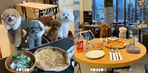 🐾 [반려동물]과 식사 가능한 시대&amp;#44; 