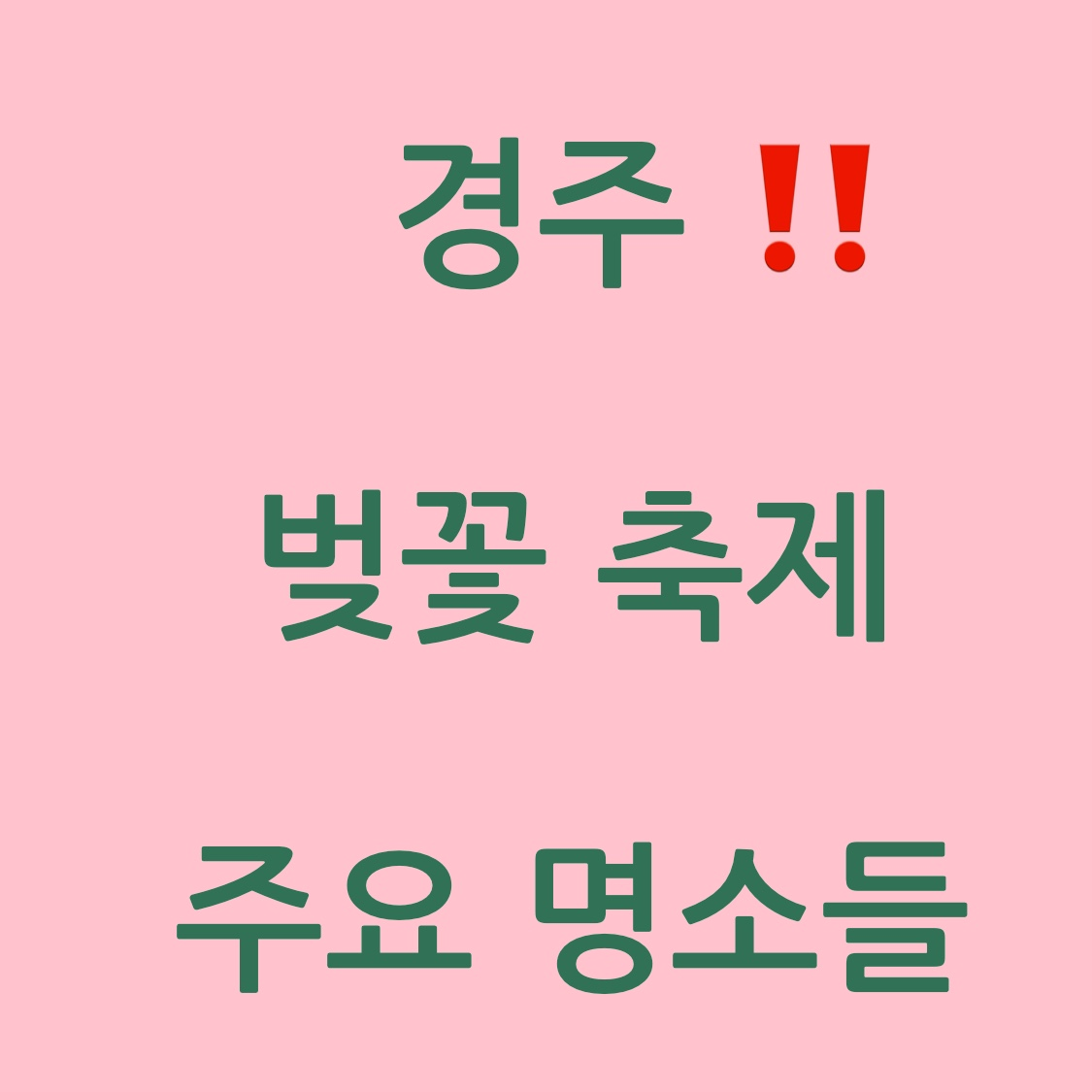 경주 벚꽃 축제 포스터 사진