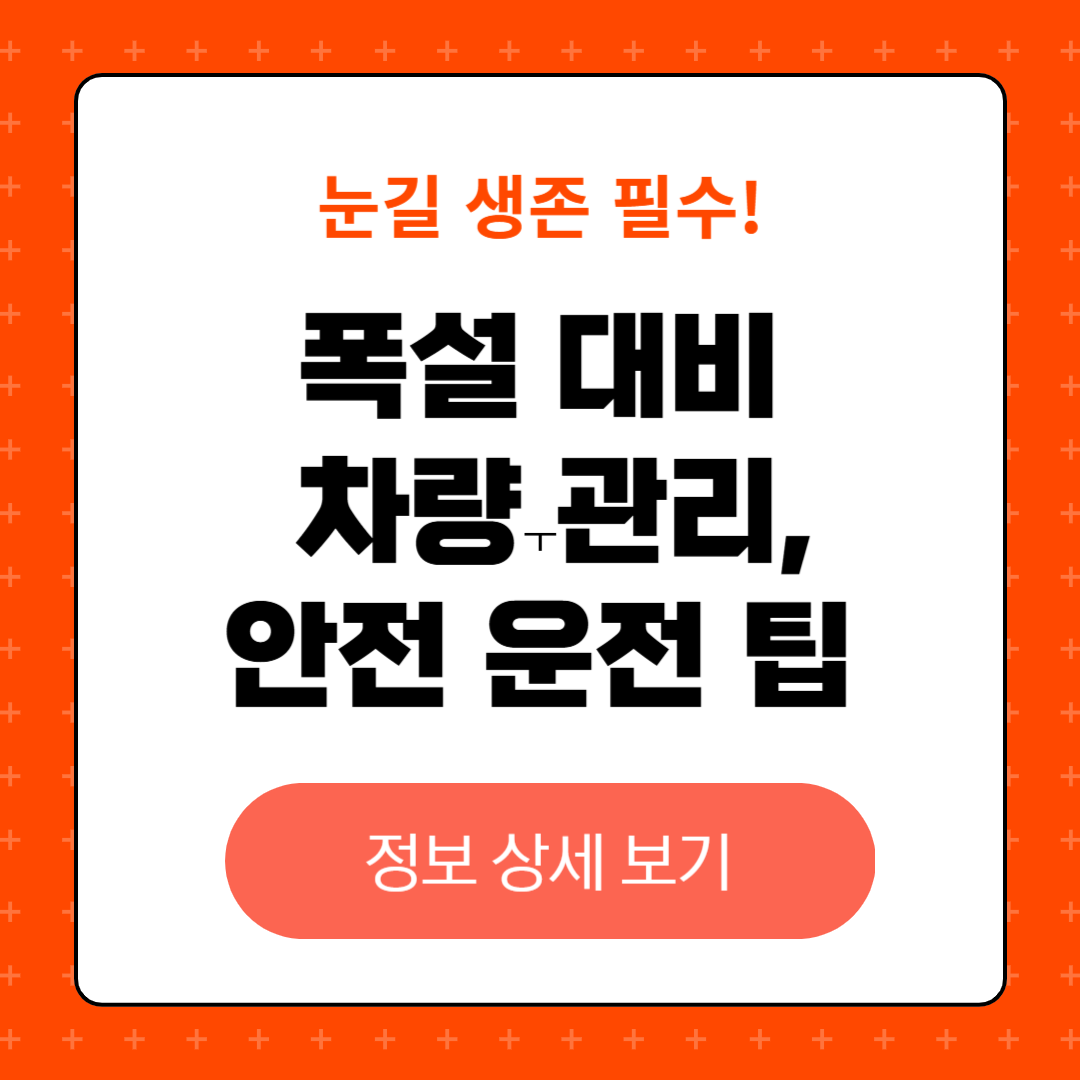 폭설 대비 차량관리 및 안전 운전 팁, 안전 운전 기술, 대체 교통 수단 및 계획 수립, 타이어 체인 교체 상황, 빙판길 자동과 수동 차량의 차이
