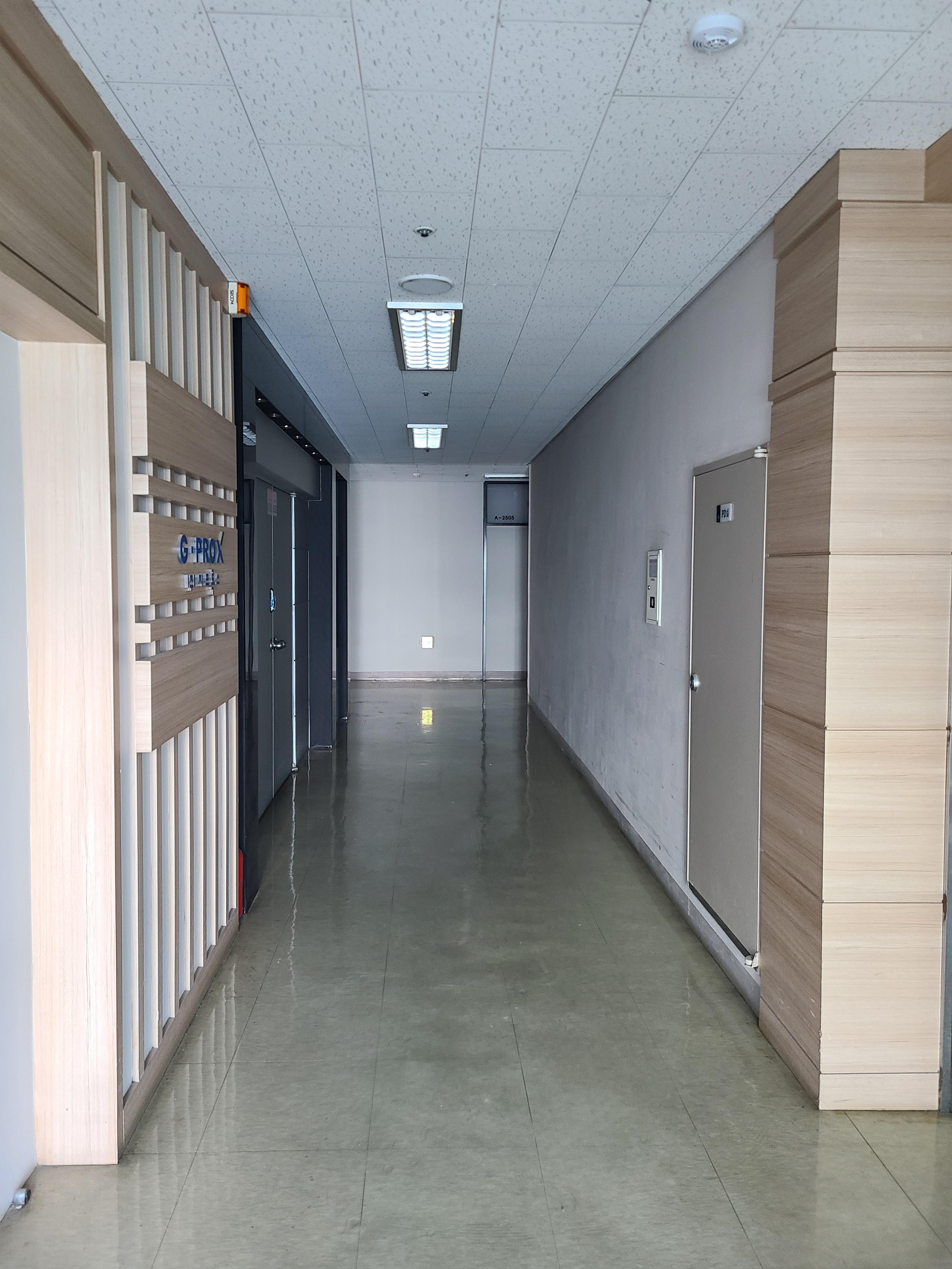 우림블루나인19