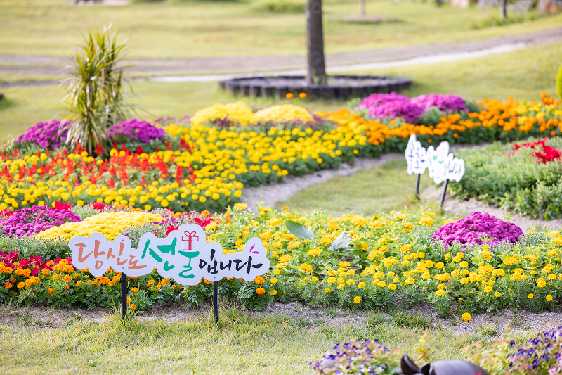 속초설악산자생식물원