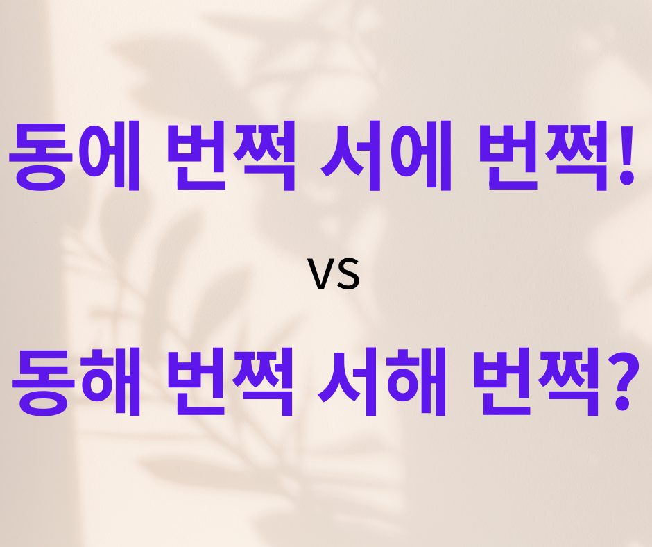 동에 번쩍 서에 번쩍, 동해 번쩍 서해 번쩍 헷갈리는 맞춤법을 느낌표와 물음표 o x 로 표현한 한글 맞춤법 시리즈 35화 대표 썸네일 이미지 png