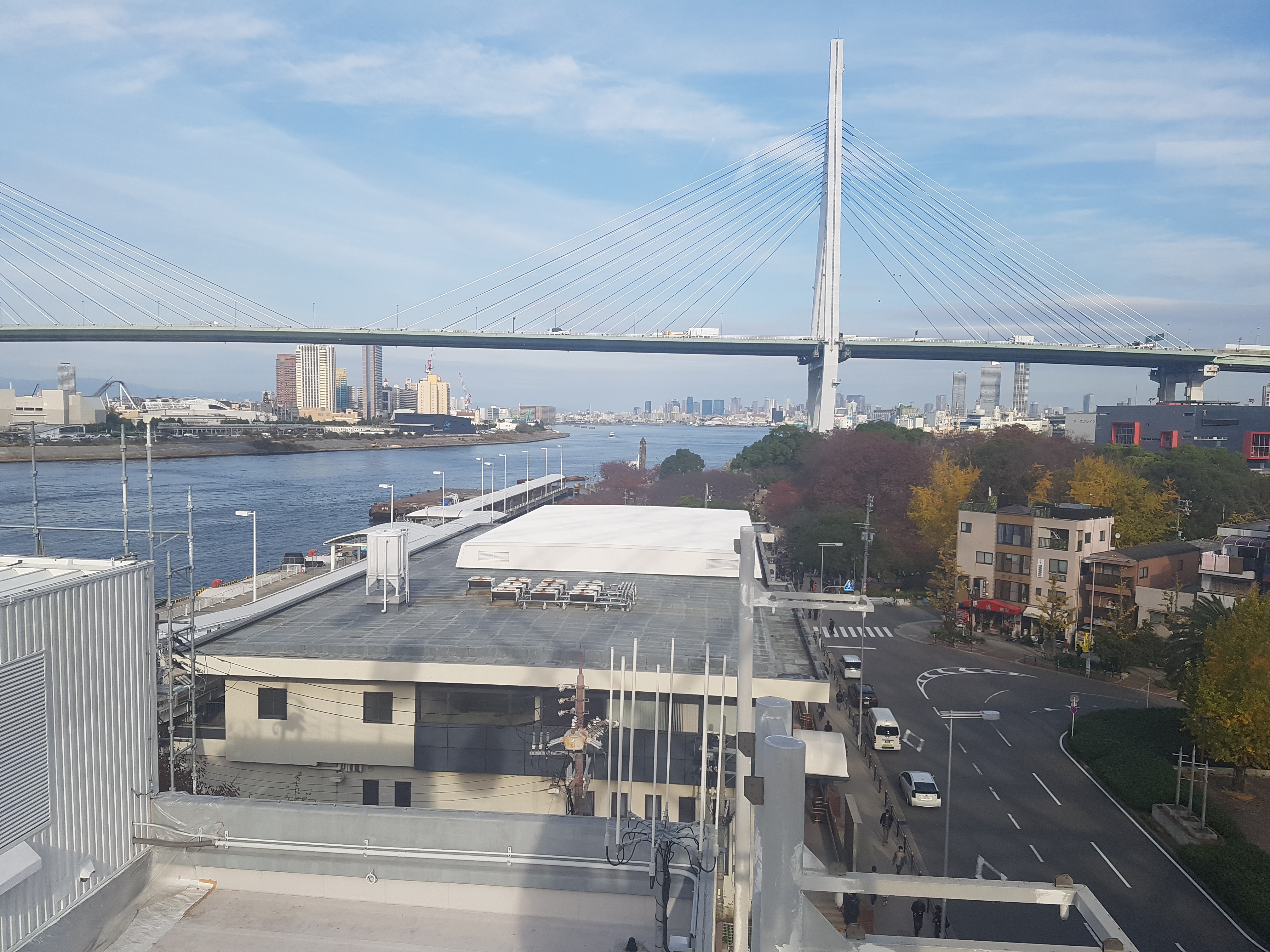 올라가네요 대관람차