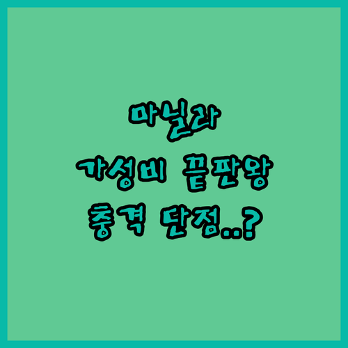 직접 다녀온 여행객이 극찬한 마닐라 ..