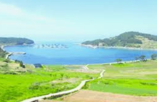 청산도 배시간표