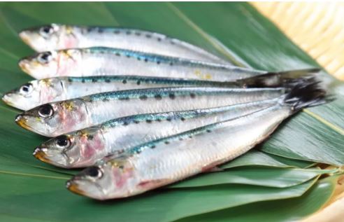 칼슘 많은 음식