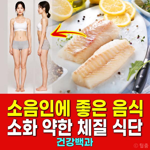 소음인 체질 음식 식단