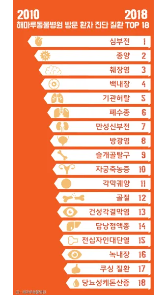 노령견 신부전2기 자연식 화식 레시피 건강식_28