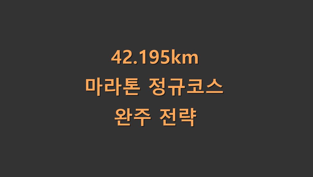 42.195km 마라톤 정규코스 완주 전략