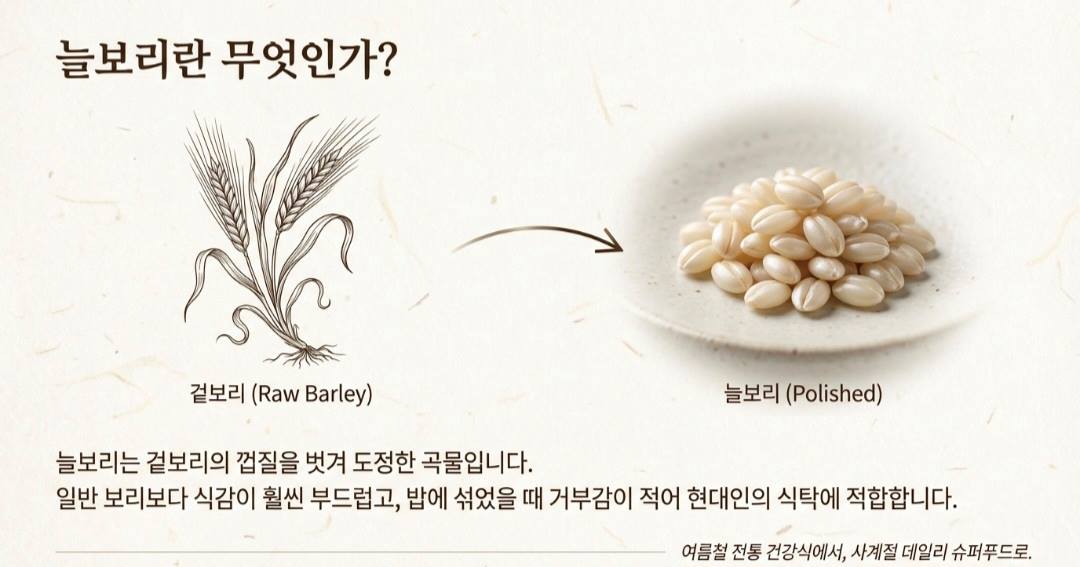 늘보리-사진7