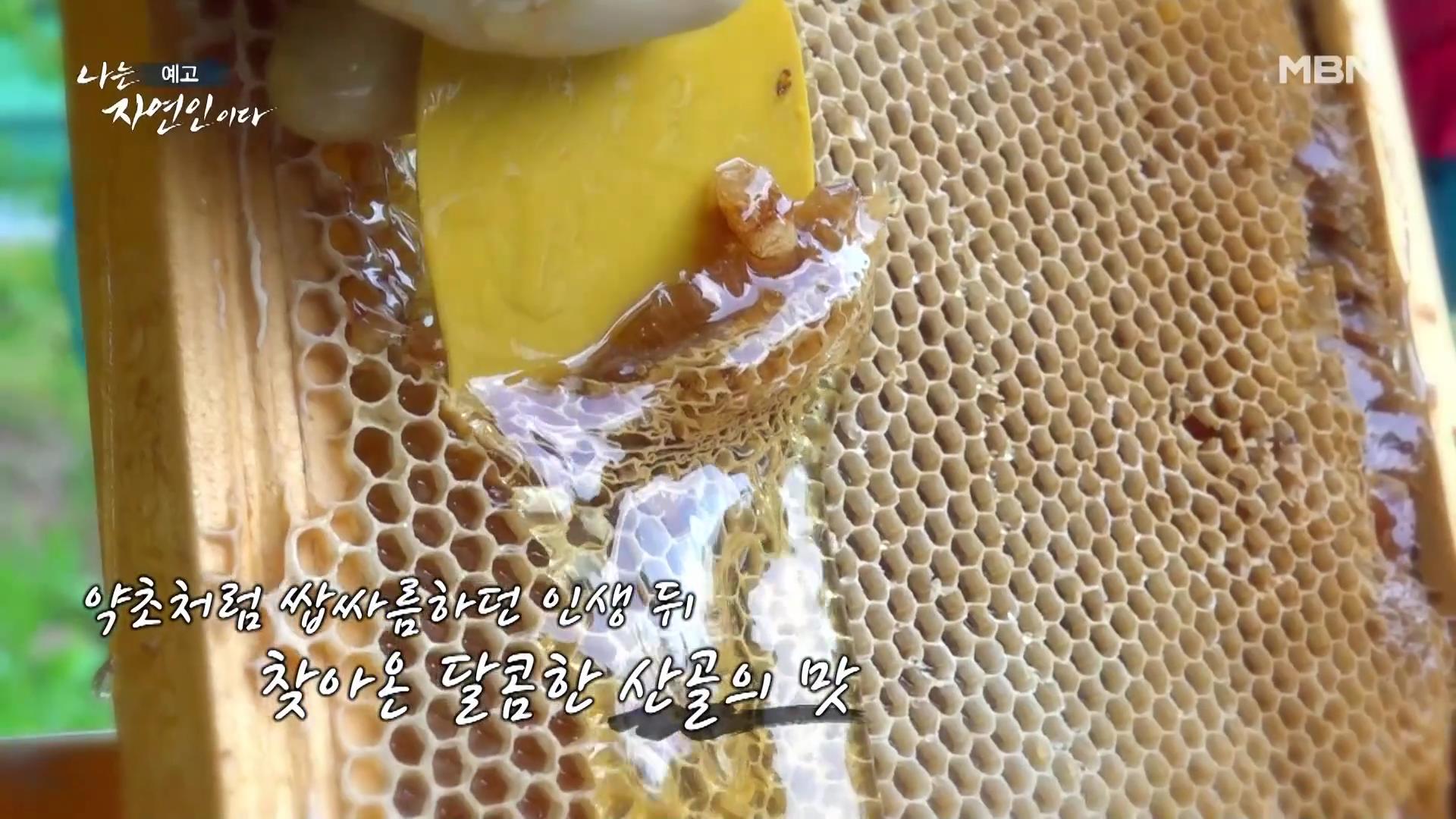 나는 자연인이다 남편 뇌출혈 병간호 산골 의녀 윤장금 마운틴 허니 치킨 당신과 함께였다면 자연인 윤부연 소개 및 윤택 출연 555회 다시보기