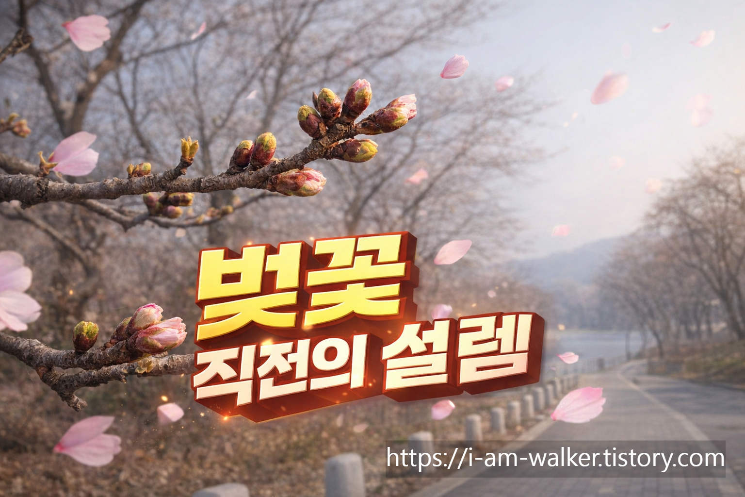 서울대공원 벚꽃 개화상태