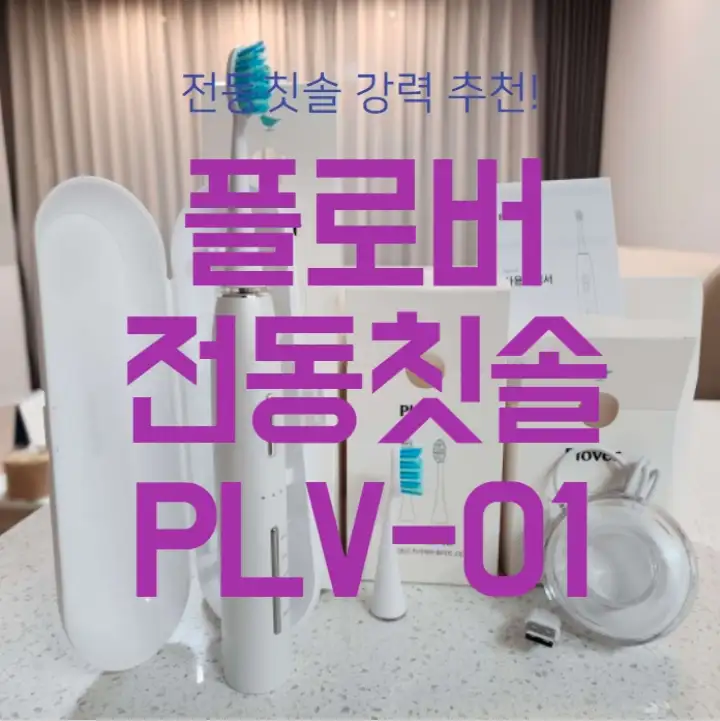 전동칫솔 강력 추천
플로버 전동칫솔 PLV-01 썸네일