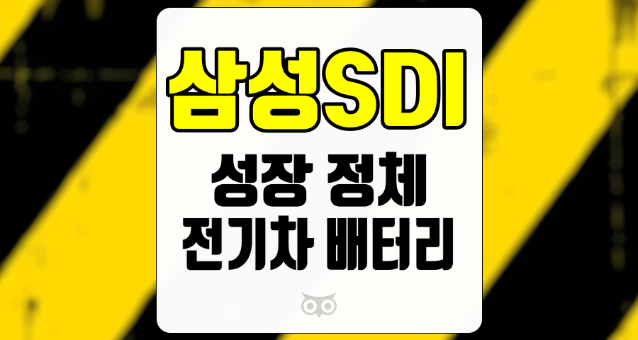 삼성SDI, 전기차 배터리 시장에서의 도전과 기회