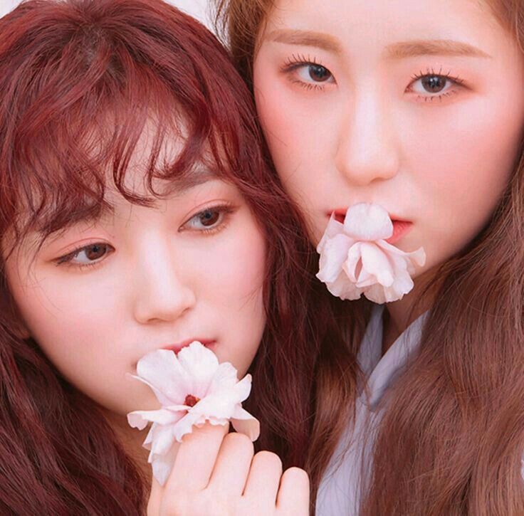 아이즈원 프로듀스48 사진 모음 아이즈원 프로듀스48 사진 모음