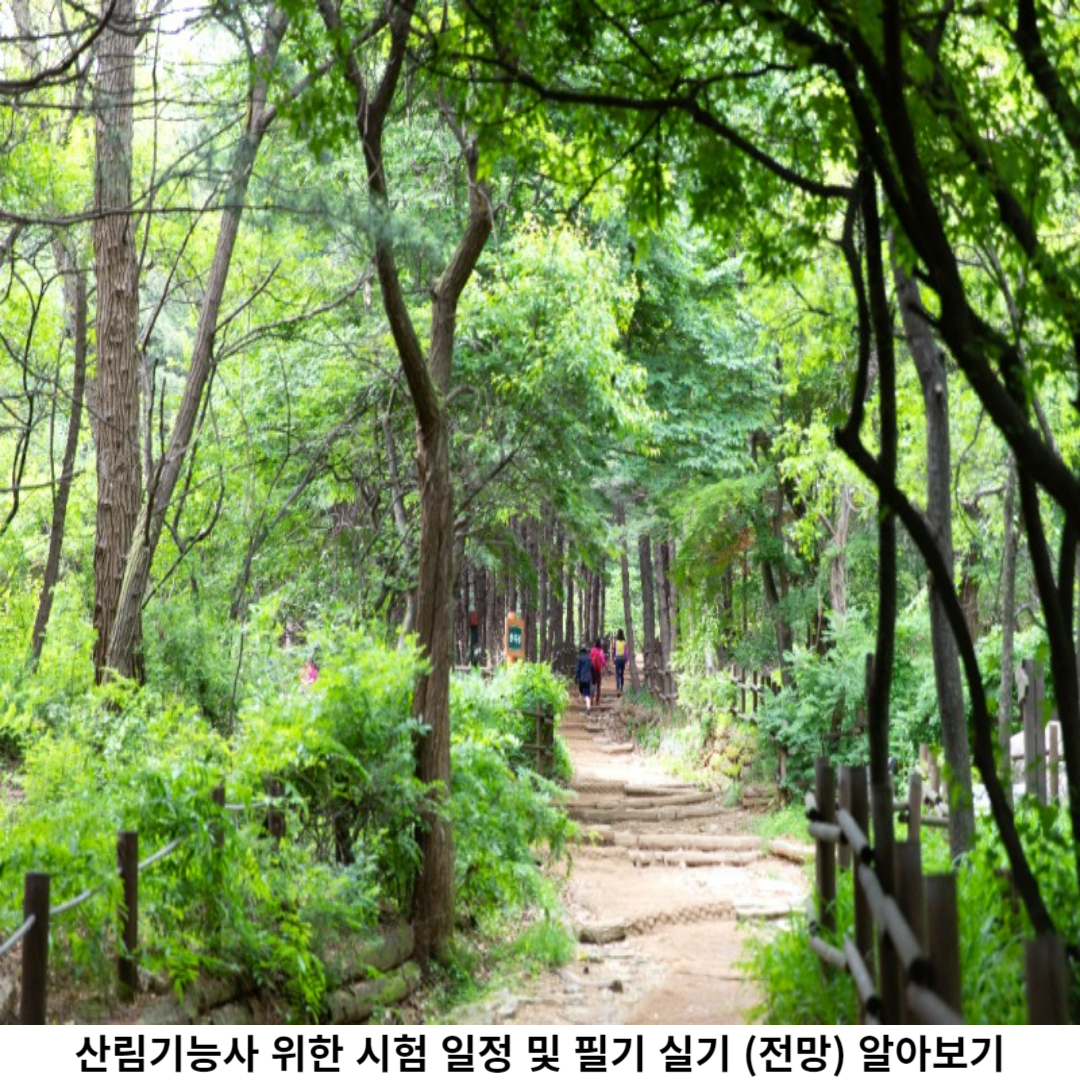 산림기능사 필기