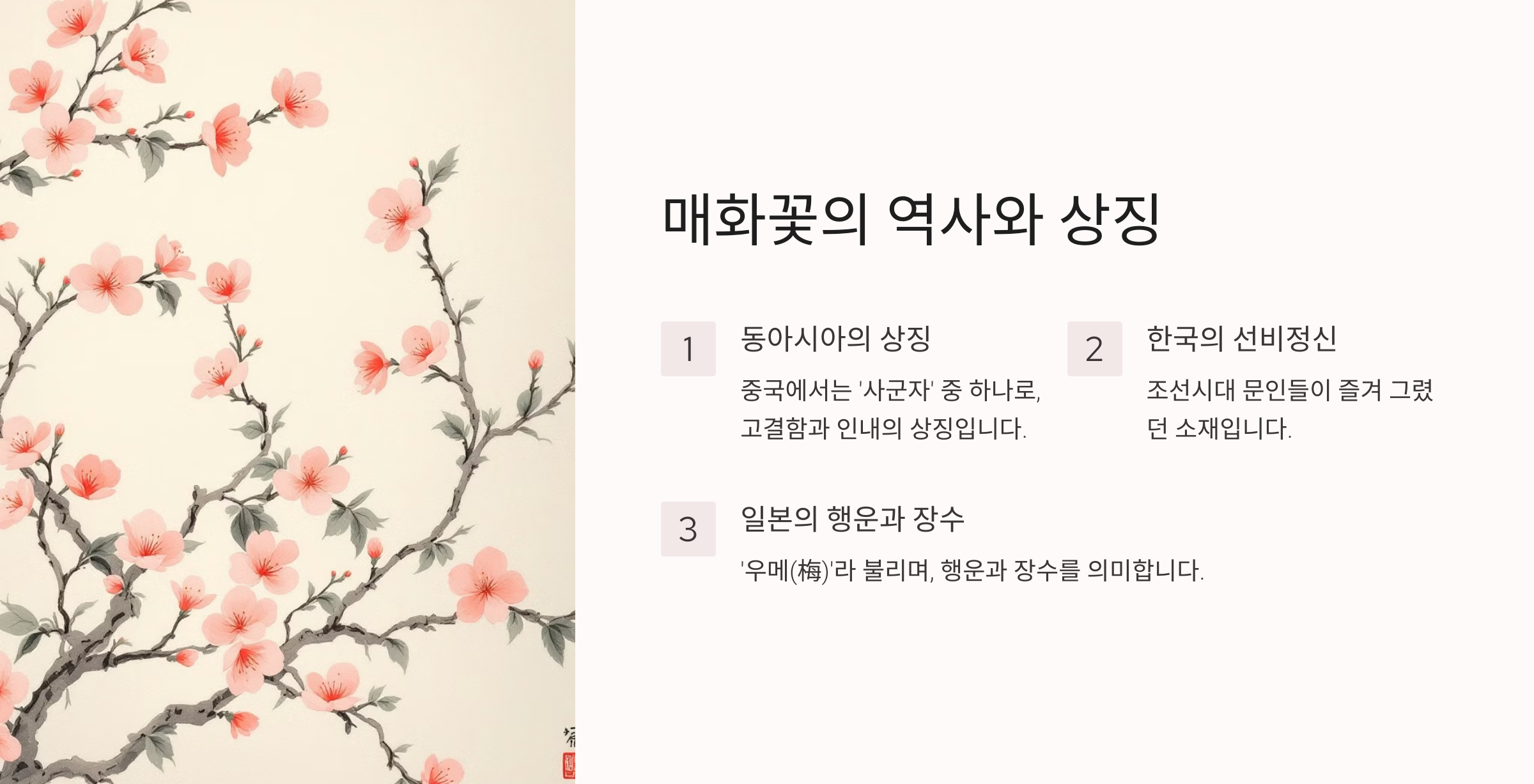 매화꽃 사진