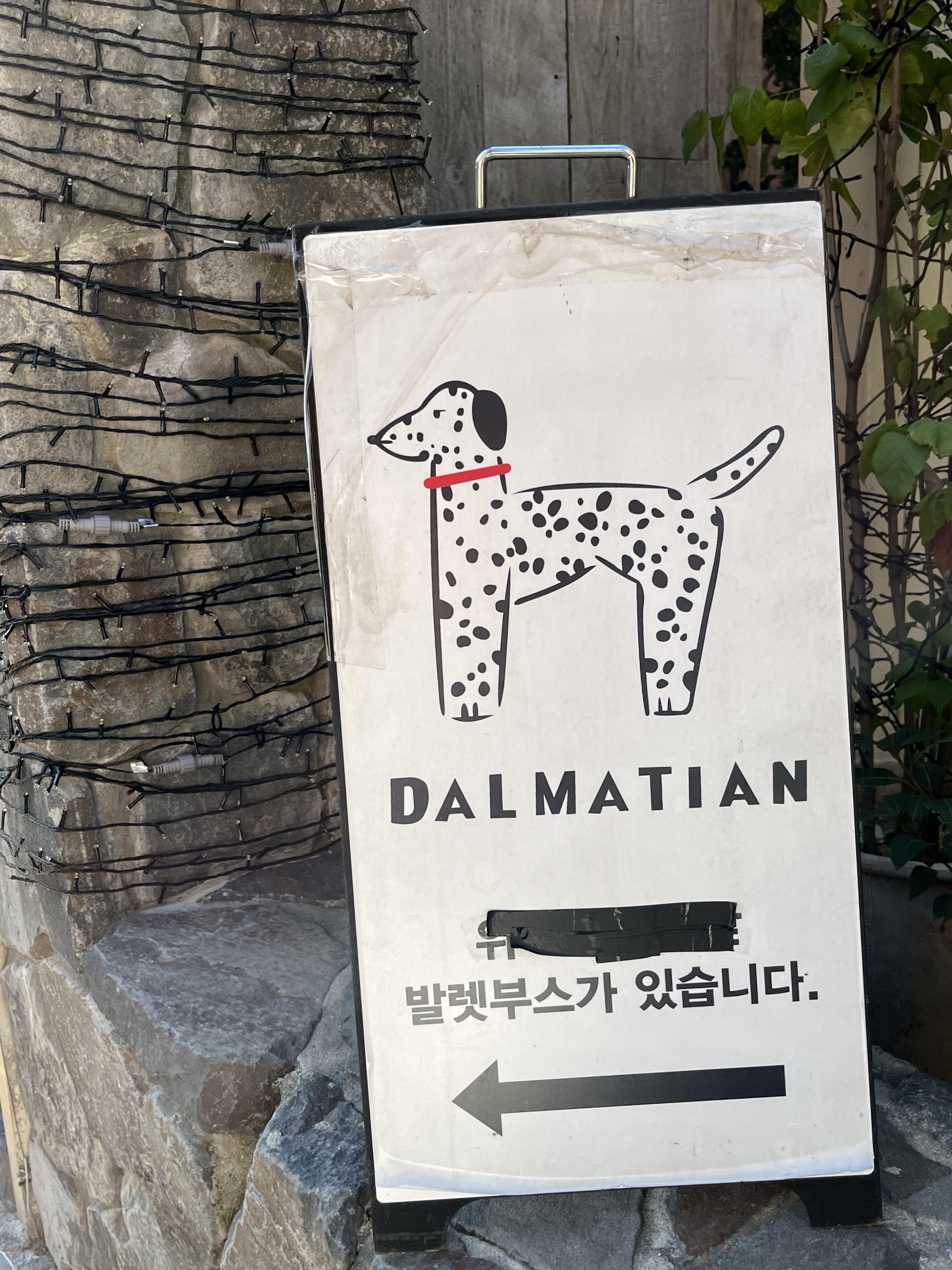 달마시안 압구정점