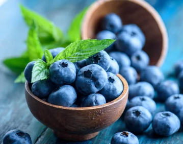 연어,블루베리/출처:어도비스톡