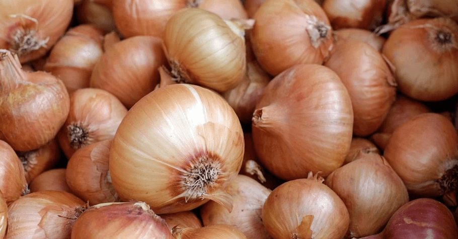 양파가 많이 쌓여 있다