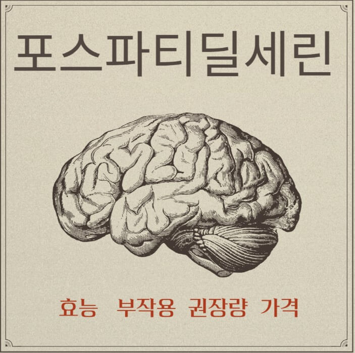 포스파티딜세린-로고이며-뇌-그림의-포스터입니다.