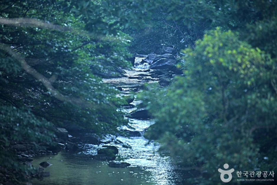 장성 가볼만한곳 베스트10