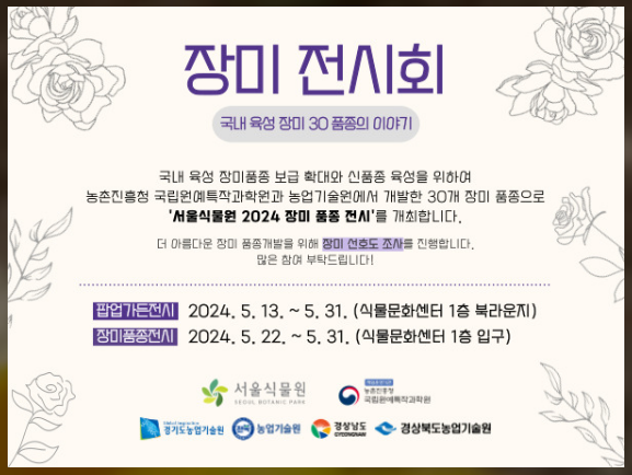 서울식물원 장미전시회