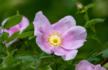버스만으로도 쉽게 도착할 수 있는 방법 3