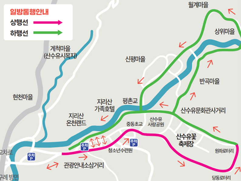 구례 산수유 꽃축제 안내.개막식,주차장,셔틀정보