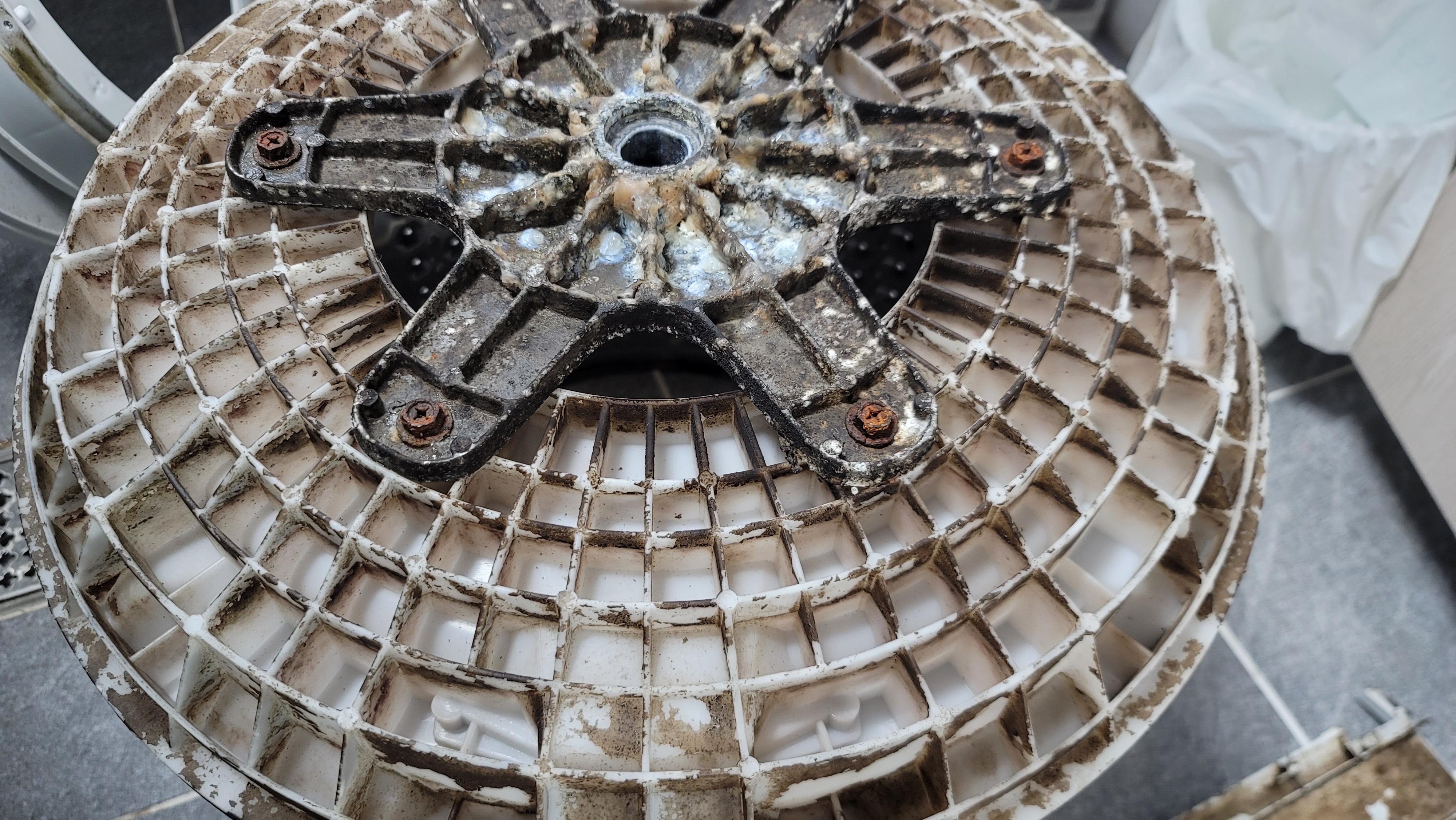 세탁기 바닥 청소 전