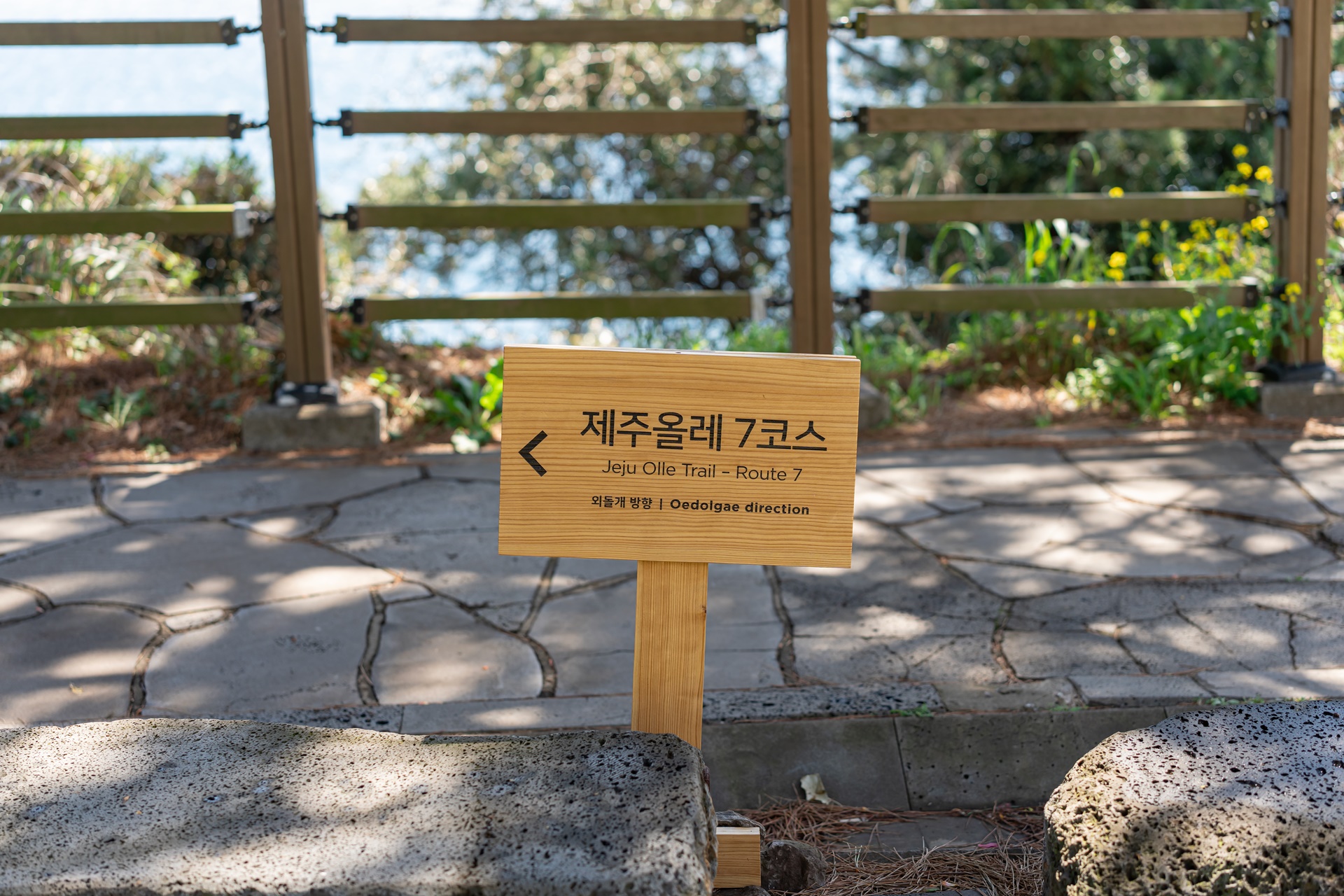 #JW가든 #JW메리어트제주 #댄싱두루미 #더플라잉호그 #아일랜드키친 #유채꽃 #제주사진 #제주여행 #제주유채꽃 #제주호텔