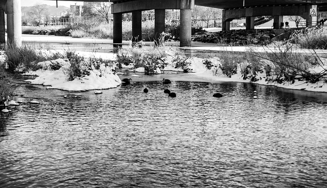 🎄 2025 서울 크리스마스 가볼만한곳 총정리! 명동 신세계 &amp; 더현대&middot;잠실 꿀팁 (주차/웨이팅/예약) 🎄