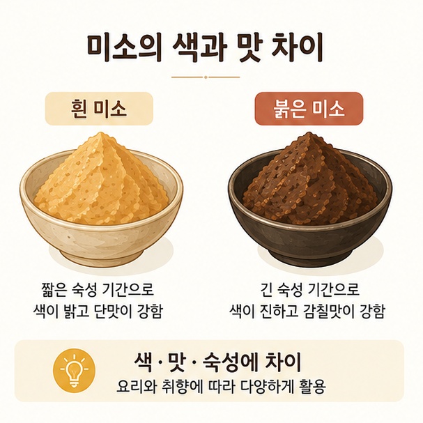 일본 미소가 흰 미소와 붉은 미소 등 색과 맛, 숙성 방식에 따라 다양하게 나뉜다는 것을 설명한 이미지