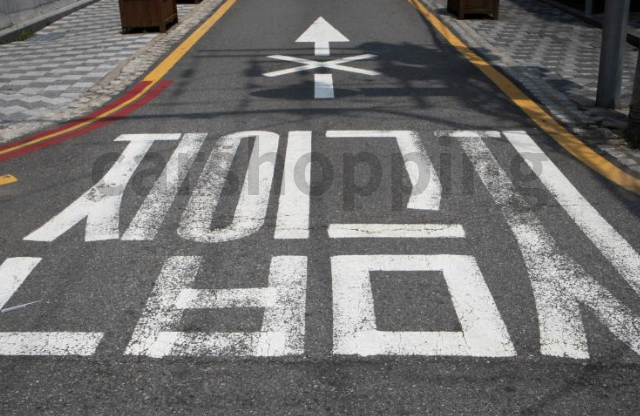 고속도로 1차선 정속주행