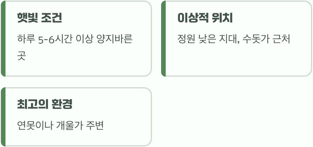 여왕을 위한 최고의 자리