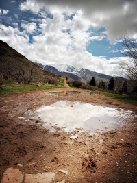 모기를 불러오는 환경 만들지 않기 웅덩이 제거