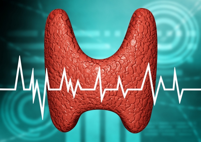 Thyroid