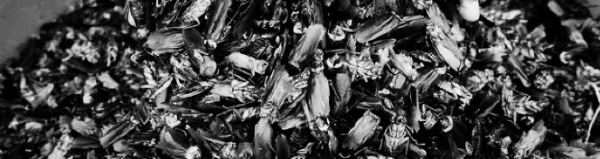 바퀴벌레 서식지: 습기가 많은 곳