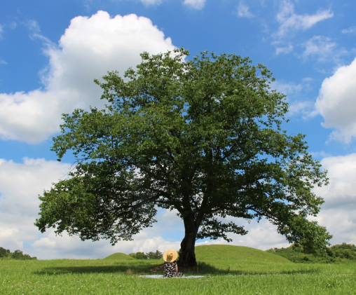 말이산고분군