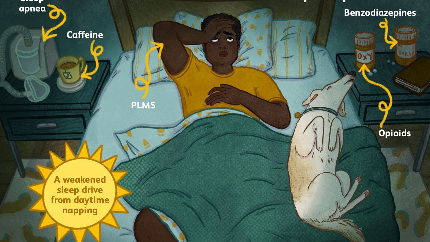 내가 어제 숙면했는지 아는 법 l 숙면이란? What Is Deep Sleep?