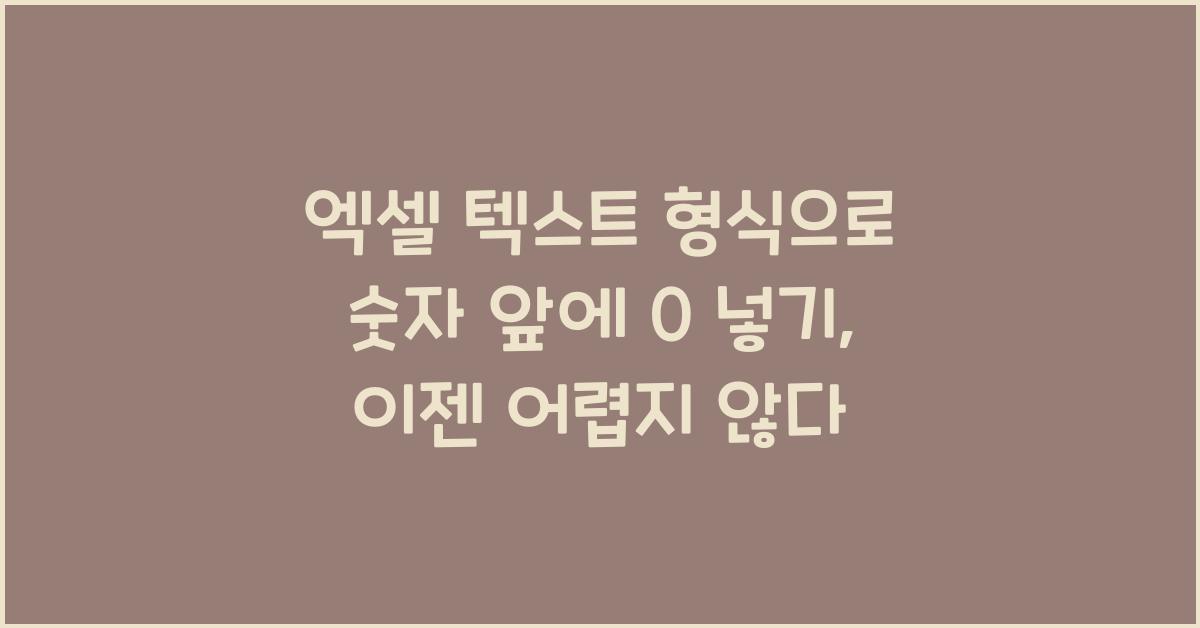 엑셀 텍스트 형식으로 숫자 앞에 0 넣기