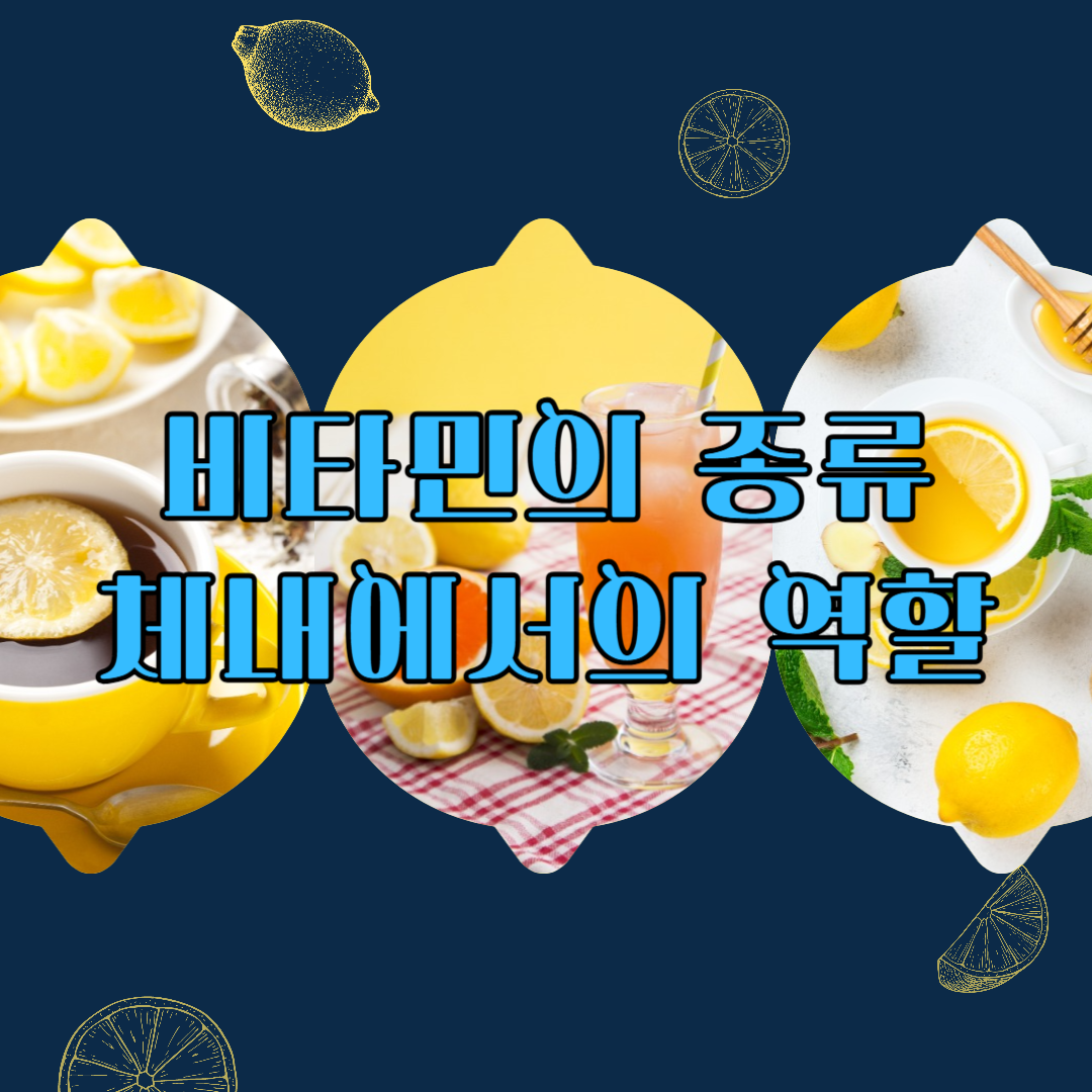 비타민의 종류